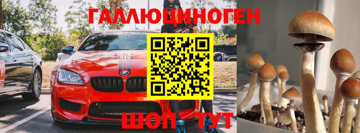 Галлюциногенные грибы ЛСД Минеральные Воды