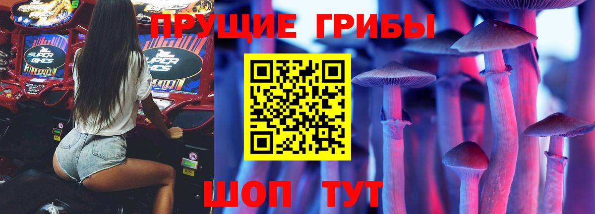 Галлюциногенные грибы MAGIC MUSHROOMS  Вход с VPN  Минеральные Воды 